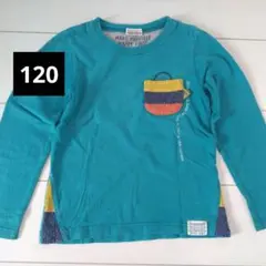 【Branshes 120】長袖カットソー ターコイズ