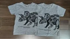 お揃い　 Tシャツ　恐竜　2枚セット　110 120