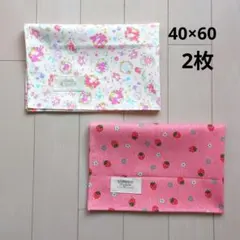 ランチマット　女の子F　40×60　ランチョンマット　大判　アリス＆いちご　赤