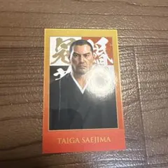 TAIGA SAEJIMA ショットイメージカードコレクション