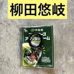 柳田悠岐 九州限定 ソフトバンクホークス めじるしマーカー おーいお茶