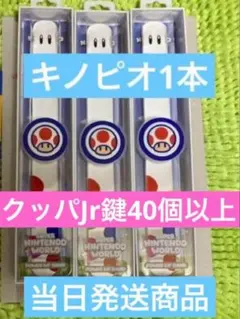 パワーアップバンド　キノピオ1本鍵40個付き　USJユニバ　ニンテンドーワールド