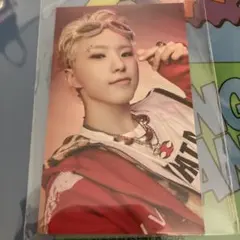 ブソクスン　bss TELEPARTY ユニバ　ホシ