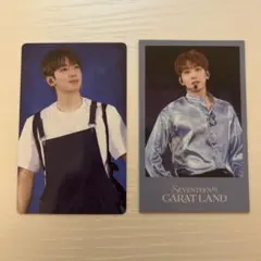 SEVENTEEN CARAT LAND VOD特典　ウォヌ