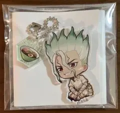 Dr.STONE ドクターストーン　アニメガ × ソフマップ　アクキー　千空