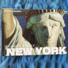 FLYING HIGH NEW YORK