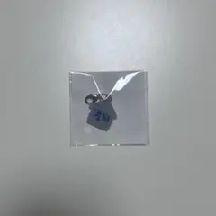 ヘチャン アクリルチャーム