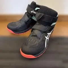 Item thumbnail for item a5ec7743-42dc-4d75-b633-faa96d766499