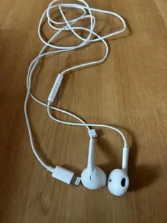 iPhone付属品　Lightning接続 有線イヤホン＆変換器