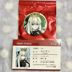 FGOフェス 霊基召喚缶バッジ 入場特典 学生証 クリア扇子 モルガン