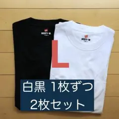 【Lサイズ】ビーフィー 半袖Tシャツ アソート 2枚セット 2色　ユニセックス