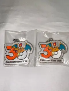 ポケモン メタルチャーム リザードン 2個セット