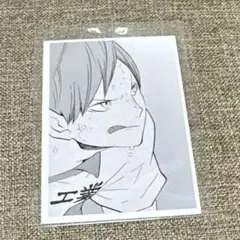 2026年最新】ハイキュー思い出スナップフォトカードの人気アイテム