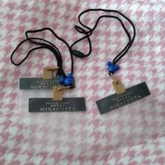 ネームホルダーストラップ　ディズニー　チケット　パスポート　名前　セット　まとめ