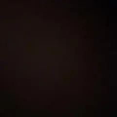 2026年最新】コアラピローの人気アイテム - メルカリ