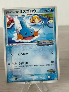 ポケパークのミズゴロウ PROMO PCG-Pプロモカード 048/PCG-Pのサムネイル
