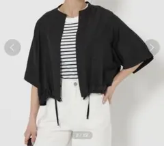 グリーンレーベルリラクシング　シアーバンドカラーショートスリーブ シャツ