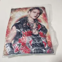 THE RAMPAGE 岩谷翔吾 RUN! RUN! RAMPAGE クッション THE RAMPAGE 岩谷翔吾 RUN! RUN! RAMPAGE クッション THE RAMPAGE 岩谷