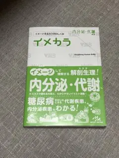 イメカラ 内分泌・代謝 イメージするカラダのしくみ
