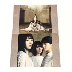 Nobody's fault カード　櫻坂46 森田ひかる　山﨑天　藤吉夏鈴