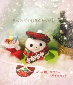 冬のおでかけ3点セット①