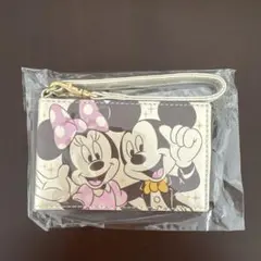東京ディズニーリゾート　ミッキー ミニー パスケース