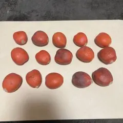 aty213様 リクエスト 2点 まとめ商品