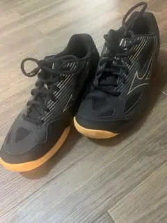 Mizuno Cyclone Speed 2 バレーボールシューズ 黒/金
