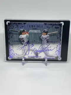 Item thumbnail for item b6be1e51-d987-4922-a51a-6c2240438ad2