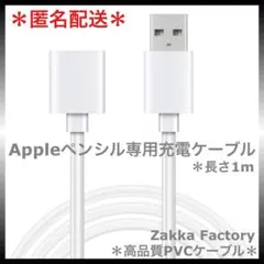 アップルペンシル Apple pencil 第1世代 充電 ケーブル 充電器