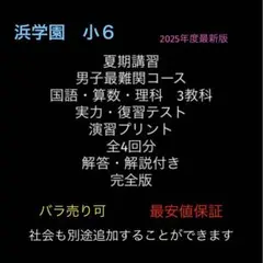 2026年最新】浜学園 小6 最高レベル特訓 テキストの人気アイテム