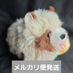 たぬぽんぽん ぬいぐるみ マスコット LMC タヌオ 1個