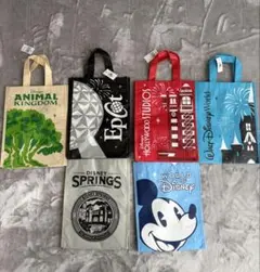 ディズニーパーク ショッピングバッグセット　ウォルトディズニーワールド