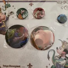 ディズニーキャラクター バッジとストラップセット