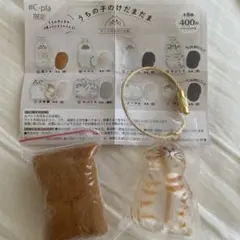 うちの子のけだまだま　茶トラ