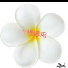 rr様専用 ミニチュア