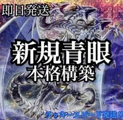 遊戯王 本格構築ブルーアイズデッキ40枚＋E X15枚 - メルカリ