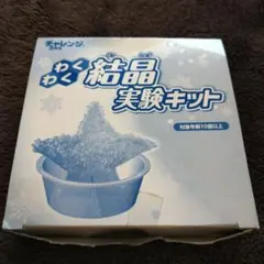 進研ゼミ わくわく結晶実験キット