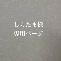 ♡お菓子のおうちのシェイカーキーホルダー♡