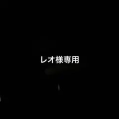 レオ様専用
