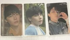 &TEAM NICHOLAS ニコラス トレカ