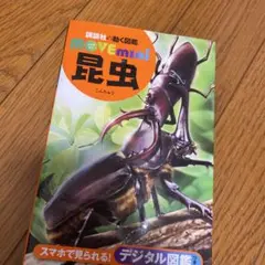 Item thumbnail for item 931b6760-64f7-495e-8fa5-3ba2361dba6e