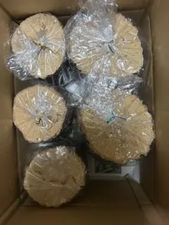 Item thumbnail for item c50ee390-4502-4c01-9258-c4b917f185aa