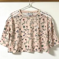 adidas 花柄 クロップドTシャツ 半袖