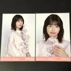 M*a様 青木瑠璃子 ぬいぐるみ アクリルスタンド - メルカリ