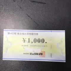 ビックカメラ 株主優待券 ¥1,000