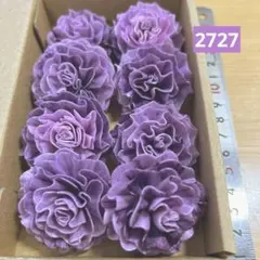 ソラフラワー　2727