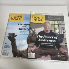 LION'S ROAR 雑誌 2冊セット 2025年1月・3月