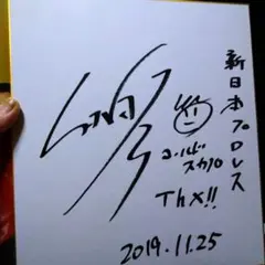 AKB48グループメンバー サイン入り色紙 3点 髙橋みなみ、小嶋陽菜