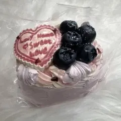 リアル系スクイーズ　ブルーベリーケーキ